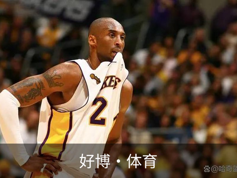 了解好博·体育